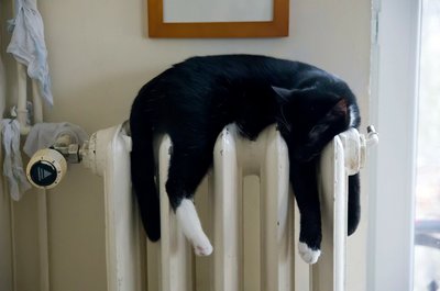 Katze liegt im Fensterbrett über einer Heizung