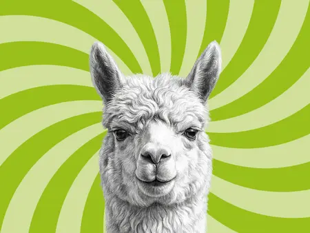 Foto eines Lamas in schwarz/weiß mit grünem Zwirbel im Hintergrund