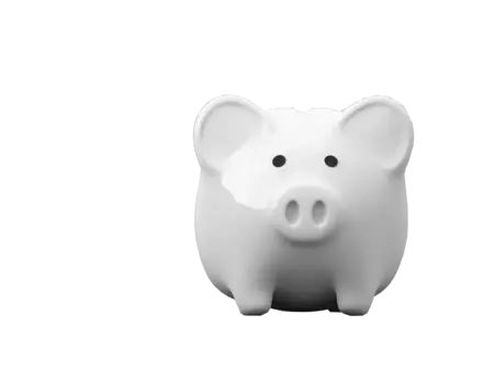 Bild von einen Sparschwein in Frontansicht in schwarz-weiß